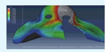 ����Ԫ����